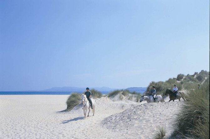 Beach & Countryside Horse Riding. Mayo. Guided. 1 Hour. - The Sum Up
