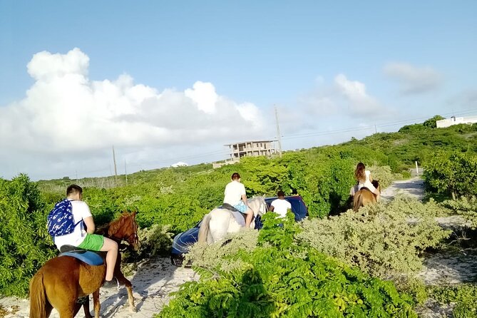 Beach Trail and Swim. Cockburn Town, Grand Turk, Turks and Caicos - Common Questions