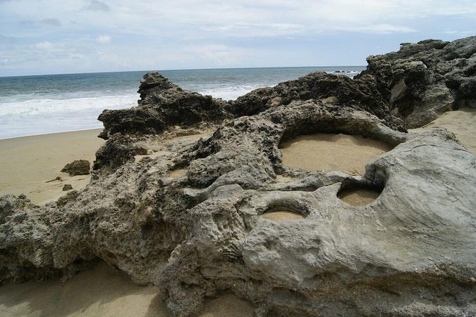 Beaches Dolphins And Viewpoints Discovering The Hidden Port By Sea And Land - Common Questions