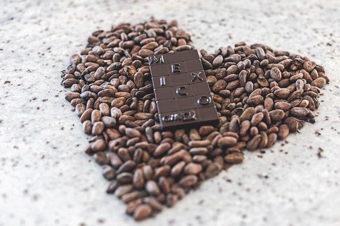 Bean to Bar Chocolate Workshop in Puerto Vallarta - Reviews and Positive Experiences
