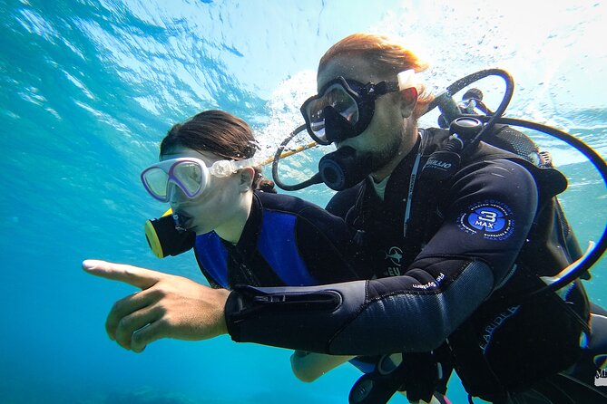 Beginner Diving Experience in Ligaria Bay - Cancellation Policy