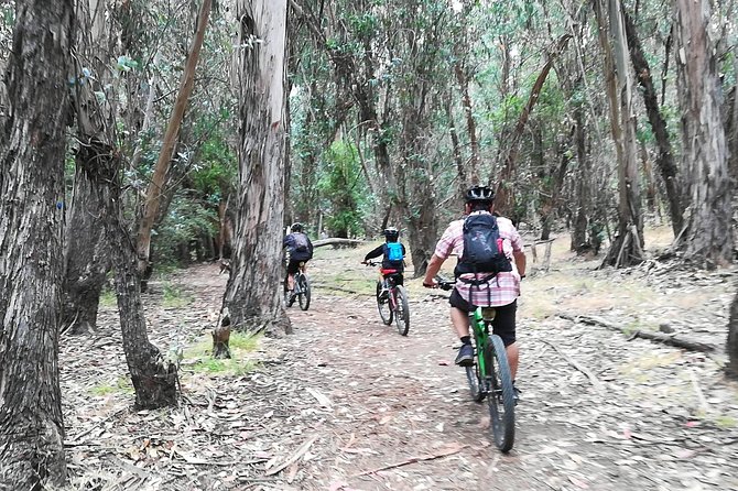 Beginner or Intermediate Mountain Bike Tour of Santa Barbara - Summary