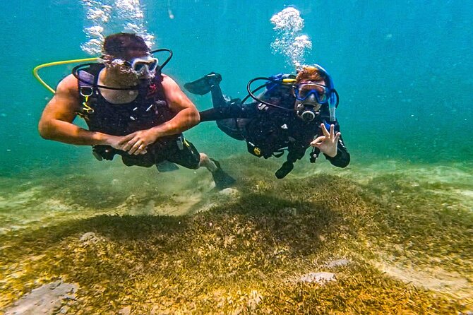 Beginner SCUBA Diving in Old San Juan - Common Questions