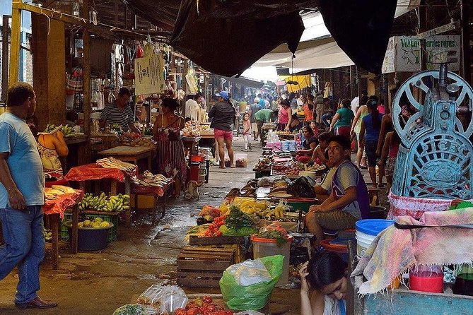 Belen Market & Floating City 2-3 Hour Private Tour - Additional Information