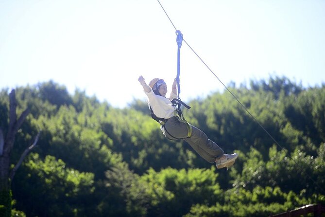 Belgrade Forest Discovery by ATV and Zipline With Transfer - How to Book and Prepare for the Tour