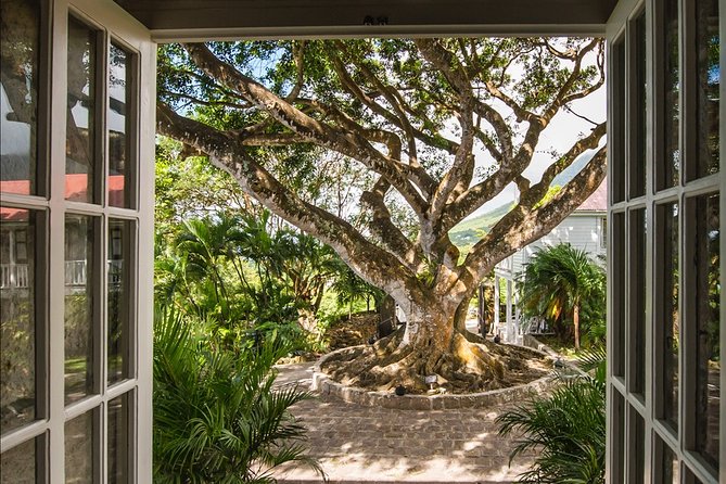 Best of St. Kitts Tour - Traveler Photos