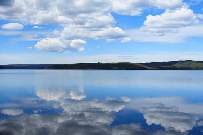 Best Of Yellowstone Full Day Natl Park Tour From Bozeman - Reviews