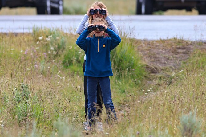 Best of Yellowstone - Guided National Park Safari Tour - Recommended Tour Guides