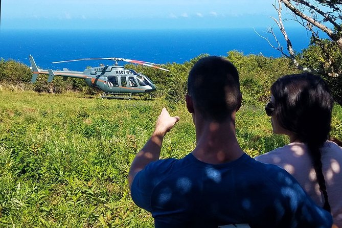 Big Island Hawaii: Kohala Coast With Landing and Hike  - Big Island of Hawaii - Reviews
