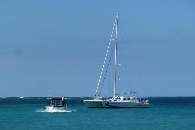 Big Island Kohala Coast Morning Whale Watch Cruise  - Big Island of Hawaii - Positive Experiences and Whale Sightings