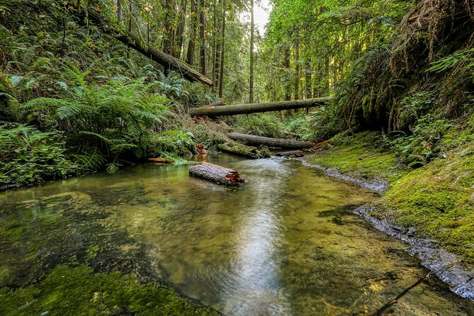 Big Sur Mcway Falls California Coast One Day From Monterey Carmel - Visiting Mcway Falls: A Natural Wonder
