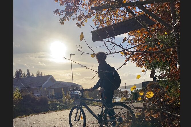 Bike Ride Tour in Alingsås With Pickup From Gothenburg - Weather Conditions and Tour Status