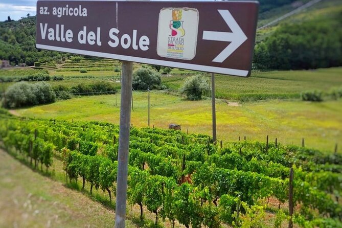 Bike Ride & WIne Tasting - Tips and Recommendations: Make the Most of Your Experience