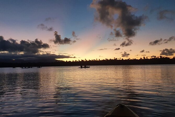 Bio Bay Night Kayaking Laguna Grande, Fajardo - Common Questions