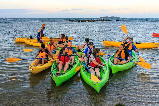 Bio Bay Night Kayaking - Round Trip Transportation From San Juan Area - Negative Experiences
