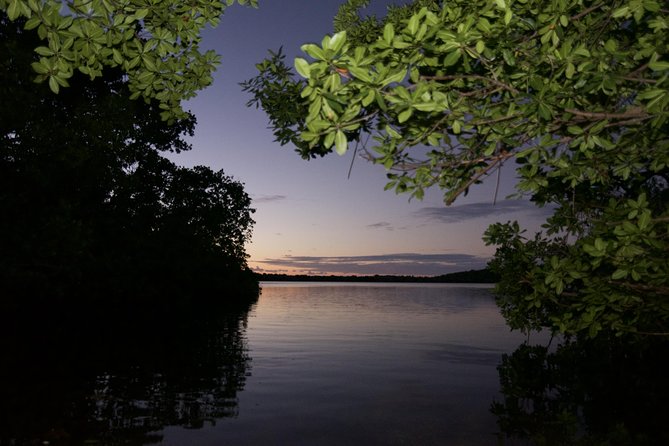 Bioluminescent Bay Kayak Adventure Tour From San Juan - Potential Challenges