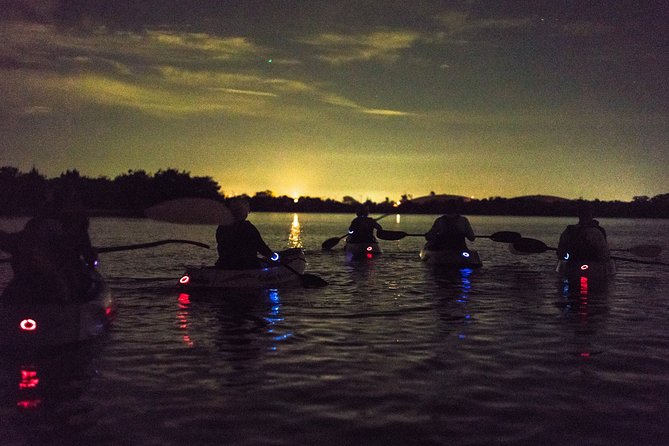 Bioluminescent Kayak Tour. Fin Expeditions Is Cocoa Beaches Top Rated Kayak Tour - Reviews and Feedback