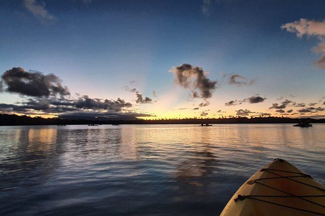 Bioluminescent Night Kayaking Pickup Point From San Juan - Learn About Local Ecosystem and Wildlife