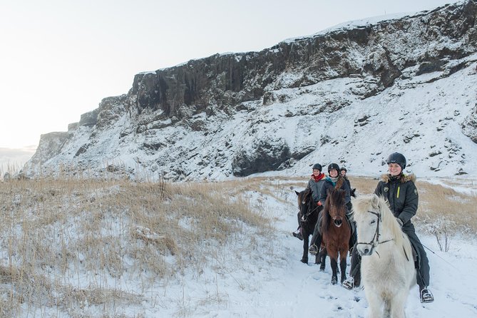 Black Sand Beach Horse Riding Tour From Vik - Pricing and Provider Information