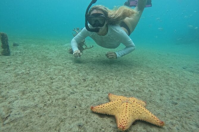 Blue Heron Bridge Guided Snorkel Tour - Reviews and Ratings