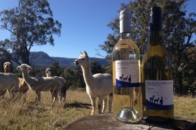 Blue Mountains Day Trip With Wines, Hikes & Lookouts - Local Cuisine and Food Pairings
