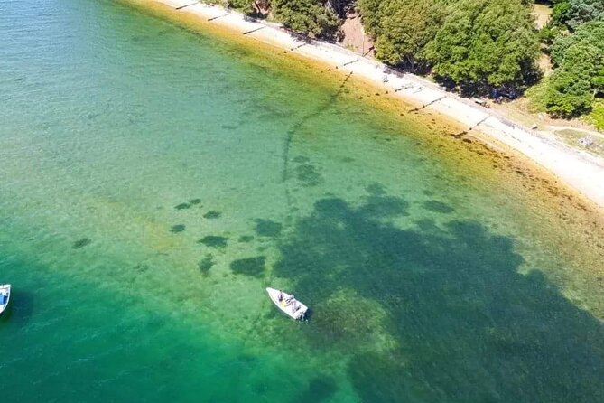 Boat Rental in Poole Harbour - The Sum Up