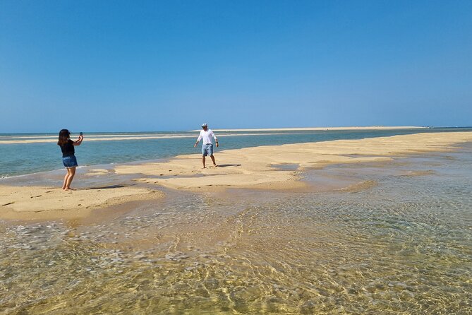 Boat Ride (6h00)3 Stops Ria Formosa - Cancellation Policy