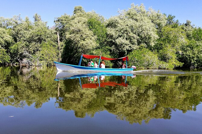 Boat Ride-Gentle Beach Beach Horseback RideLunch-Crocs-Turtles - Turtle Watching Experience