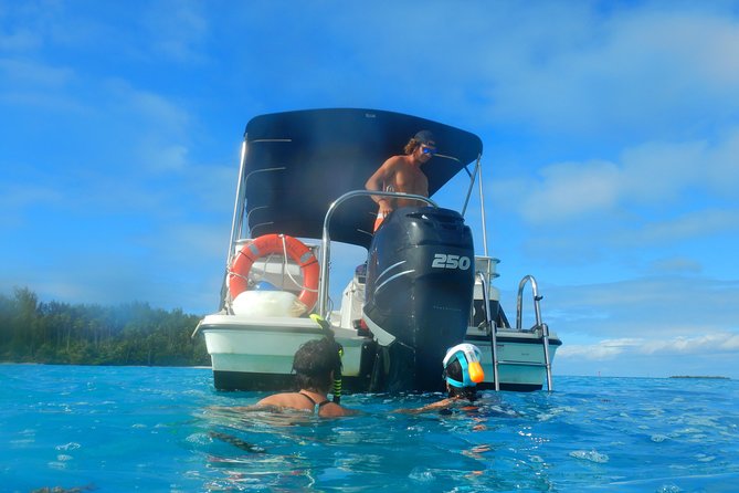 Boat Tour 1/2 Day Excursion in the Lagoon of Moorea - Directions