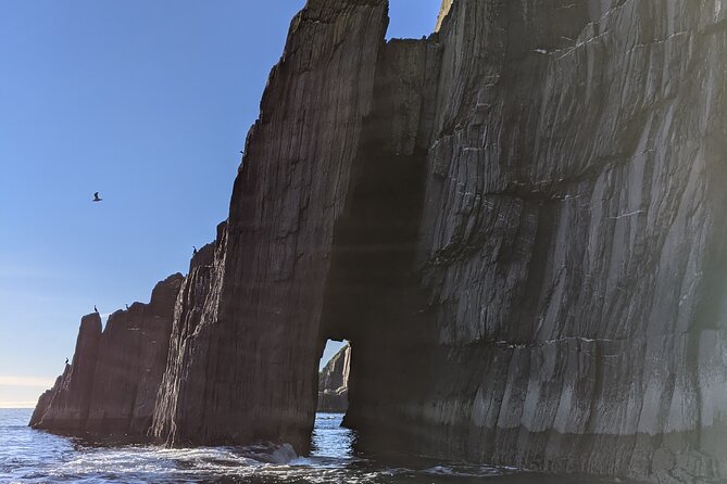 Boat Tour of Dingle Peninsula - Cancellation Policy