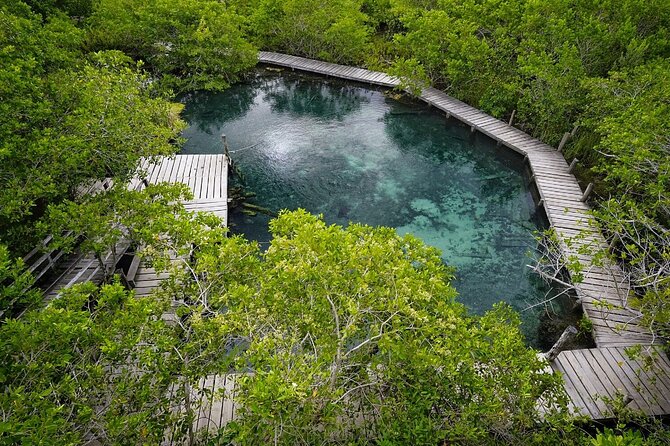 Boat Tour of Three Islands in Holbox With Transportation - Featured Review