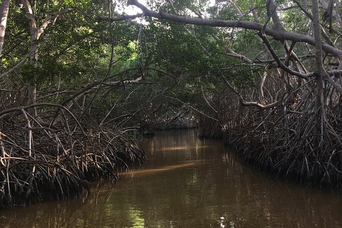 Boat Tour to Celestun From Merida - Recommendations for a Better Boat Tour Experience
