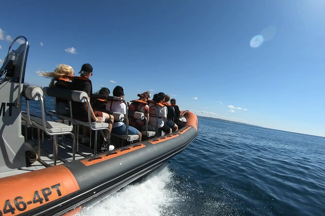 Boat Trip to the Caves of Benagil - Whats Included and Additional Information