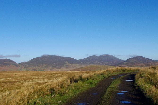 Bog Safari Hike - Additional Information