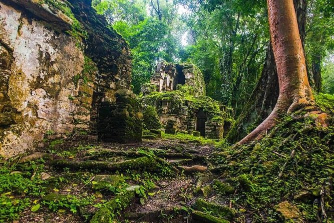 Bonampak and Yaxchilán Small-Group Full-Day Tour From Palenque - Transportation and Space