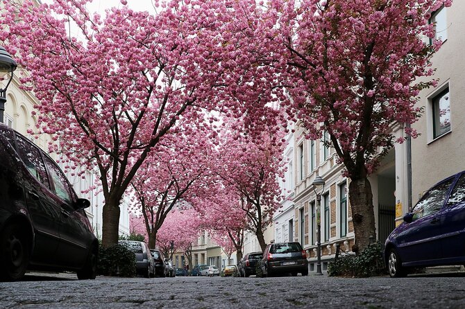 Bonn Self-Guided Game Tour - Whats Included in the Tour