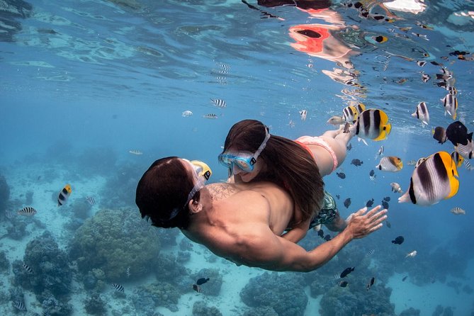 Bora Bora Eco Snorkel Cruise Including Snorkeling With Sharks and Stingrays - Common Questions