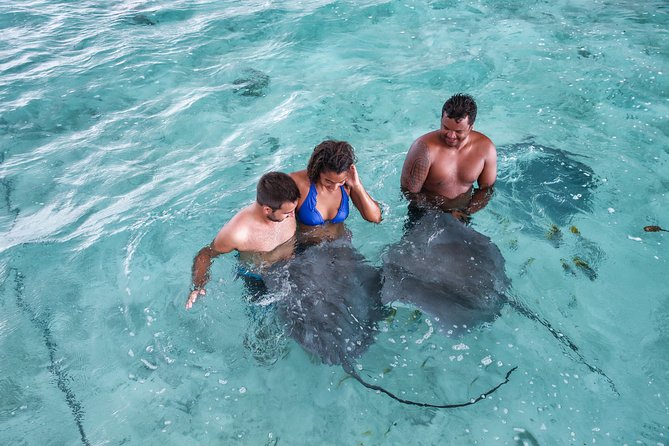 Bora Bora Private Boating Experience With Captain - Reviews and Additional Information