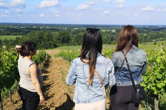 Bordeaux: the Vineyard off the Beaten Track - Unveiling Bordeauxs Hidden Wine Treasures
