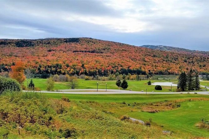 Boston to New Hampshire Fall Foliage White Mountains Day Trip - Customer Reviews