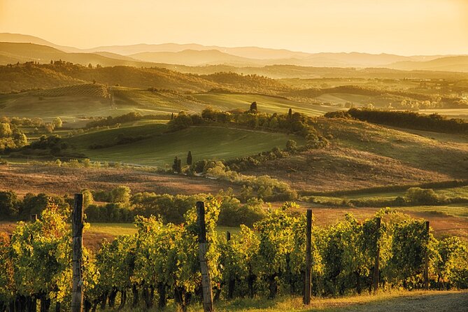 Brunello Wine Tasting From San Gimignano - Common Questions