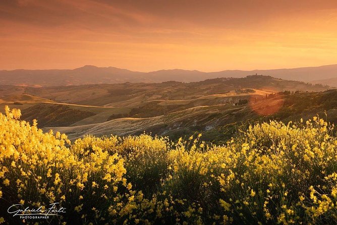 Brunello Wine Tour and Val DOrcia Landscape - Cancellation Policy