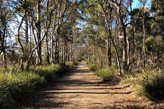 Bruny Island Nature and Tasting Active Day Tour - Miscellaneous