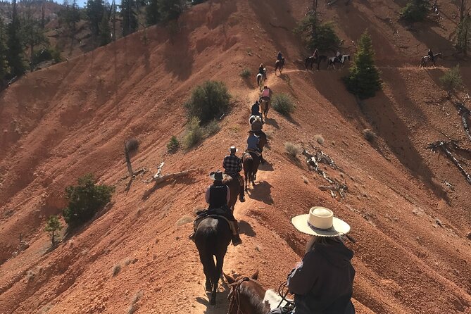 Bryce Canyon Area 4-Hour Small-Group Horseback Ride  - Bryce Canyon National Park - Inclusions