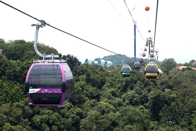 Cable Car Ride Round Trip With Arbora Set Lunch - Cancellation and Refund Policy