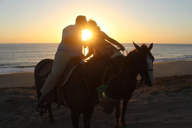 Cabo Desert ATV & Beach Horseback Combo and Tequila Tasting - Traveler Reviews and Experiences