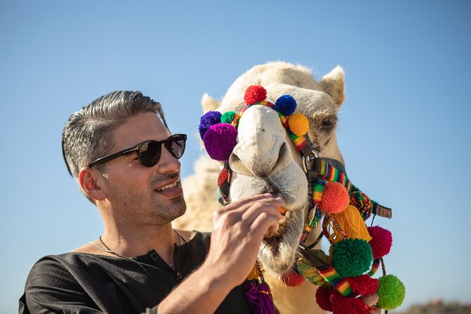 Cabo San Lucas Baja Desert Camel Ride - Maximum Capacity and Confirmation