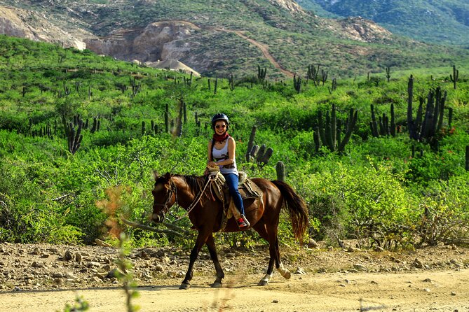 Cabo San Lucas Small-Group Horseback Ride With Tacos - Common Questions