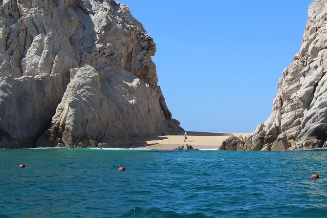 Cabo San Lucas Whale Watching Tour All Included - Transportation and Hotel Arrangements