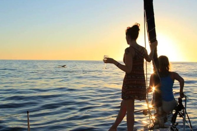 Cabo Sunset Sailing Shared Cruise - End Point and Cancellation Policy